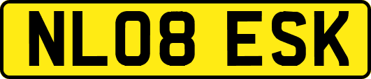 NL08ESK