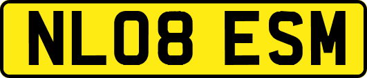 NL08ESM