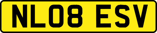 NL08ESV