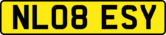 NL08ESY