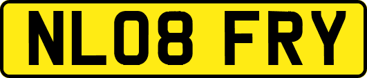 NL08FRY