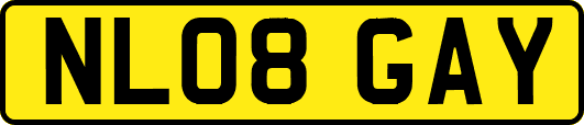 NL08GAY