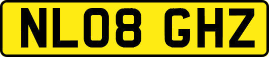 NL08GHZ