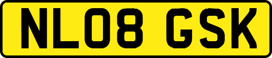 NL08GSK