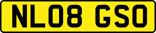 NL08GSO
