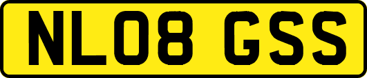 NL08GSS