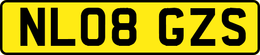 NL08GZS