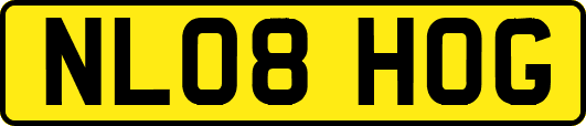 NL08HOG
