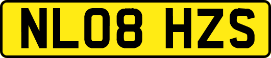 NL08HZS