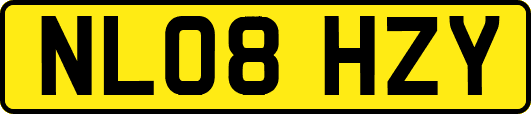 NL08HZY