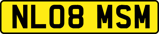 NL08MSM