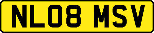 NL08MSV