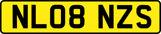 NL08NZS