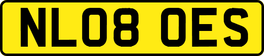 NL08OES