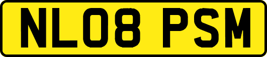 NL08PSM