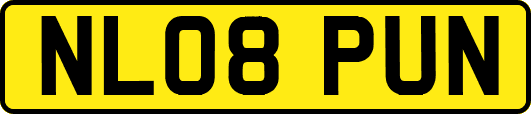NL08PUN