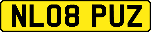 NL08PUZ
