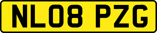 NL08PZG