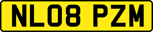 NL08PZM