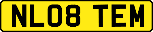 NL08TEM
