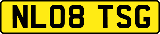 NL08TSG