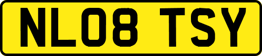 NL08TSY
