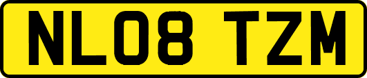 NL08TZM