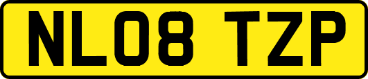 NL08TZP