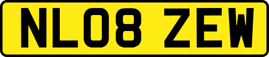 NL08ZEW