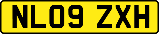 NL09ZXH