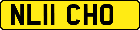 NL11CHO