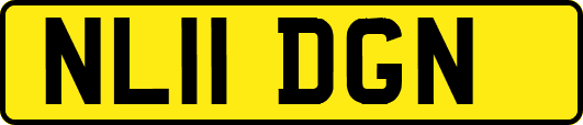 NL11DGN