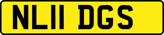 NL11DGS