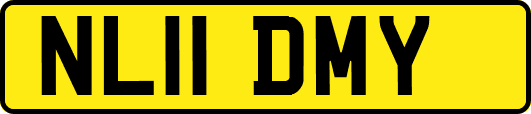 NL11DMY