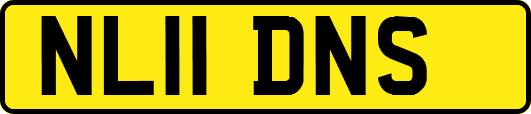 NL11DNS