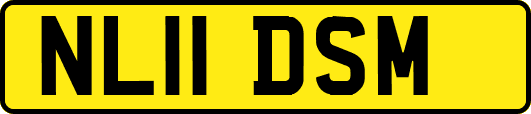NL11DSM