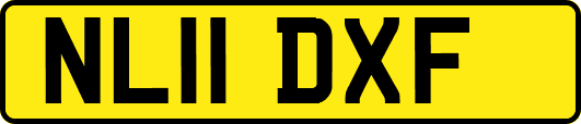 NL11DXF
