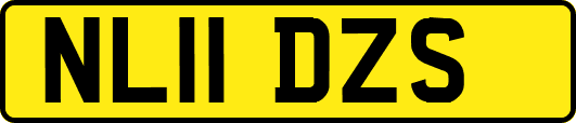 NL11DZS