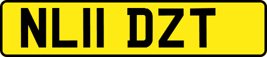 NL11DZT
