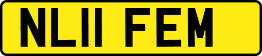 NL11FEM