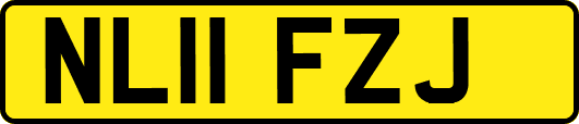 NL11FZJ