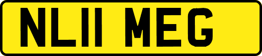 NL11MEG