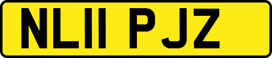 NL11PJZ