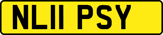 NL11PSY