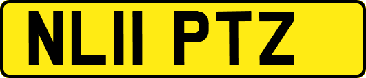 NL11PTZ