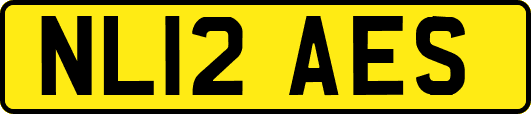 NL12AES