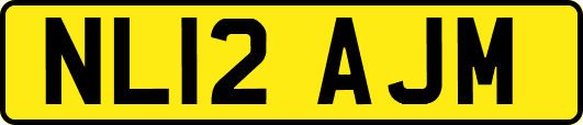 NL12AJM