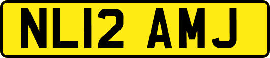 NL12AMJ
