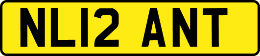 NL12ANT