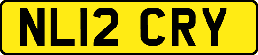NL12CRY